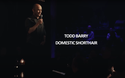 Todd Barry’s New YouTube Comedy Special: ‘Domestic Shorthair’